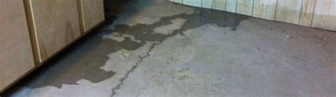 gainesville fl slab leak detection|Gainesville Leak Detection Services